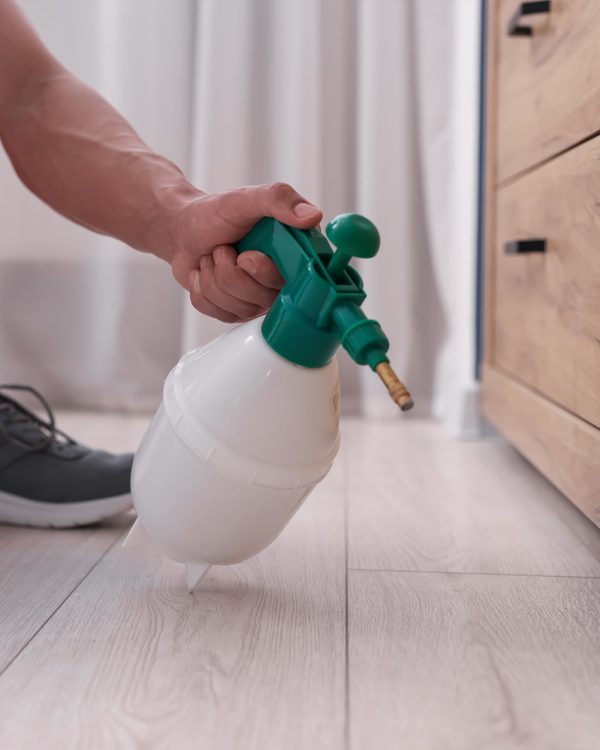 Desintech pulvérisant un insecticide à la maison